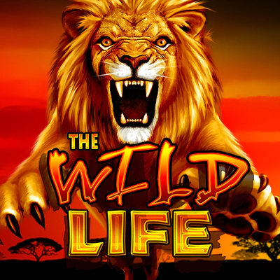 The Wild Life slot