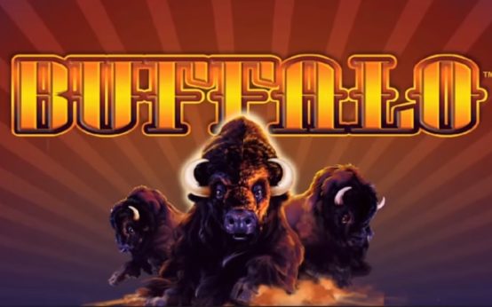 how to play buffalo slot machine