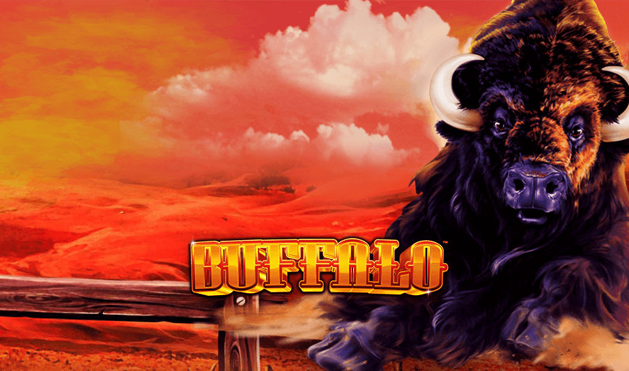 How to Play Buffalo Slot Machine and Review
Before spinning the reels, it is a good idea if you figure out how to play Buffalo slot machine first. This game is one of the most popular slot machines across all casinos, and it has a loyal fan base of players who love its wildlife theme and its unique features. In this article, we will review the Buffalo slot machine and show you how to play it and win the game.
Buffalo Slot Machine Review
Before knowing how to play Buffalo slot machine, this slot online is a video slot game that was released by Aristocrat in 2006. It features a 5-reel layout with 4 symbols on each reel, and it has 1024 ways to win, meaning that you can form winning combinations by matching symbols on adjacent reels from left to right. 
The game has a high volatility, which means that it pays out less frequently but with higher amounts. The game also has a free spins bonus feature that can be triggered by landing three or more scatter symbols on the reels.
Design, Theme, and Animation
The Buffalo slot machine has a stunning design that captures the beauty and majesty of the American wilderness. The game is set against a backdrop of a sunset over a prairie, with mountains and trees in the distance. 
The reels are framed by wooden poles and decorated with tribal patterns. The symbols on the reels include various wild animals, such as buffaloes, eagles, wolves, cougars, and elk, as well as the traditional playing card icons from 9 to Ace. 
RTP and Volatility
The Buffalo slot machine has an RTP (return to player) of 94.85%, which is slightly below the average for online slots. However, this does not mean that the game is not worth playing, as it has a high volatility, which means that it can pay out huge prizes if you are lucky. 
The game also has a progressive jackpot feature that can be activated randomly at any time during the base game or the free spins bonus. The progressive jackpot can award you with one of four levels of prizes: Mini, Minor, Major, or Grand. The Grand jackpot can reach millions of dollars if no one wins it for a long time.
Bonus Features
The Buffalo slot machine has one main bonus feature: the free spins bonus feature. This feature can be activated by landing three or more scatter symbols anywhere on the reels during the base game. 
You will receive 8, 15, or 20 free spins for three, four, or five scatter symbols respectively. During the free spins bonus feature, you can retrigger more free spins by landing two or more scatter symbols anywhere on the reels. 
The free spins bonus feature also has some extra benefits that can boost your winnings. First of all, during the free spins bonus feature, any wild symbol that appears on reels 2, 3, or 4 will become a multiplier of either 2x or 3x. This means that if you land a winning combination with a wild symbol, your payout will be multiplied by the value of the wild symbol. 
How to Play Buffalo Slot Machine and Win the Game
How to play Buffalo slot machine is actually simple and straightforward. You just need to follow these steps:
Choose your bet size and the number of reels you want to play
The first step on how to play Buffalo slot machine, the game allows you to select the reel cost, which determines how many reels are in play for winning combinations. The reel cost ranges from 10 to 40, and it affects the number of ways to win. The more reels you play, the more ways to win you have. 
The bet size ranges from 0.01 to 2.5 per reel, and it affects the amount of your payout. The higher your bet size, the higher your payout.
Spin the reels and hope for winning combinations
The second step on how to play Buffalo slot machine, you have the option to initiate reel spins manually by selecting the "SPIN" button, or you can utilize the "AUTOPLAY" feature to have the reels spin automatically for a specified number of rounds. Additionally, you can tailor the reel speed to your preference by clicking on the "SPEED" button.
Check the paytable and the rules for more information
The last step on how to play Buffalo slot machine, you can access the paytable and the rules by clicking on the “INFO” button. The paytable shows you the value of each symbol and the bonus features. The rules explain how the game works and how to trigger the bonus features.
To win the game, you need to land winning combinations of symbols on adjacent reels from left to right. The more symbols you match, the higher your payout. The buffalo symbol is the most rewarding one, as it pays out 300 coins for five of a kind on a max bet. The game also has a progressive jackpot feature that can award you with one of four levels of prizes randomly at any time during the game.
Conclusion
The Buffalo slot machine is a thrilling and entertaining game that can offer you huge payouts if you are lucky enough. The game has a stunning design, a captivating theme, and a variety of features that can enhance your gameplay and your winnings. 
The game is suitable for both beginners and experienced players, as it has a simple and intuitive interface and a flexible betting range. If you are looking for a slot game that can give you an adrenaline rush and a chance to win big, you should try how to play Buffalo slot machine by Aristocrat
